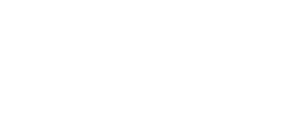 CONRAD logo wit